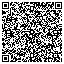 QR code with Pro Security Systems contacts