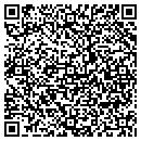 QR code with Public Space Plus contacts