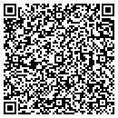 QR code with Public Works contacts