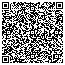 QR code with Productivity Point contacts