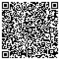 QR code with Pyrons contacts