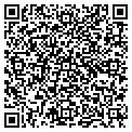 QR code with Avenar contacts
