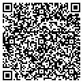 QR code with Bealls contacts