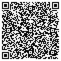 QR code with Todd Co contacts