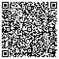 QR code with Nettles contacts