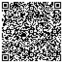 QR code with Premium Painting contacts