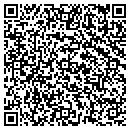 QR code with Premium Assets contacts