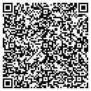QR code with Publishing Visions contacts