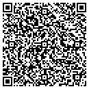 QR code with Publishing On Brazos contacts