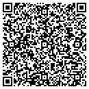 QR code with Chaney's Construction contacts
