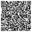 QR code with Synogy contacts