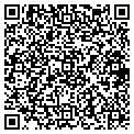 QR code with Shell contacts