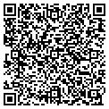 QR code with Delphi contacts