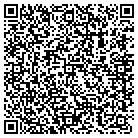 QR code with Pumphrey Design Center contacts