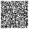 QR code with TCBY contacts