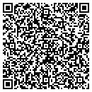 QR code with Projects Unlimited contacts