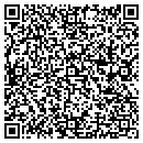 QR code with Pristine Pool & Spa contacts