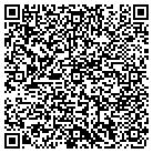 QR code with Pulliam Technology Services contacts