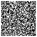 QR code with Carey's Window Tint contacts