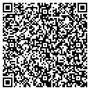 QR code with Career Strategies contacts