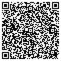QR code with Motif contacts