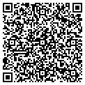 QR code with Shapes contacts