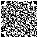 QR code with Pyne Deborah E contacts