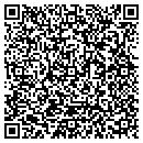 QR code with Bluebird Publishing contacts
