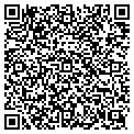 QR code with D&M Co contacts