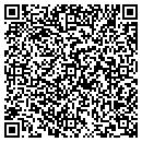 QR code with Carpet Store contacts