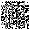 QR code with Precision Auto Shade contacts