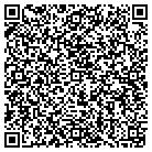 QR code with Pulsar Communications contacts
