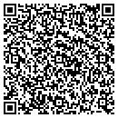 QR code with Public Storage contacts