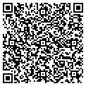 QR code with Divine contacts