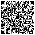 QR code with Alltel contacts