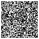 QR code with Pro Auto Service contacts