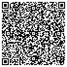 QR code with Premier Design Concepts contacts