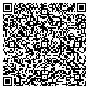QR code with Premier Electrical contacts