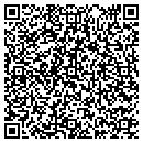 QR code with DWS Painting contacts
