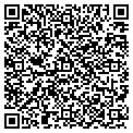 QR code with Cmsnoc contacts