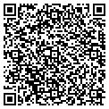 QR code with Angel contacts