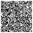 QR code with Blue Dolphin Pools contacts