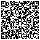 QR code with Precious Memory Gifts contacts