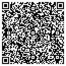 QR code with Puppetier News contacts
