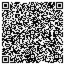 QR code with Bristers Lawn Service contacts