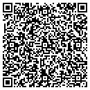 QR code with Precision Tree Care contacts