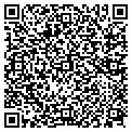 QR code with Paciugo contacts
