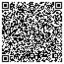 QR code with Cattails Data Inc contacts