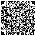 QR code with Nettles contacts