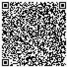 QR code with Brian Lessem & Assoc Inc contacts